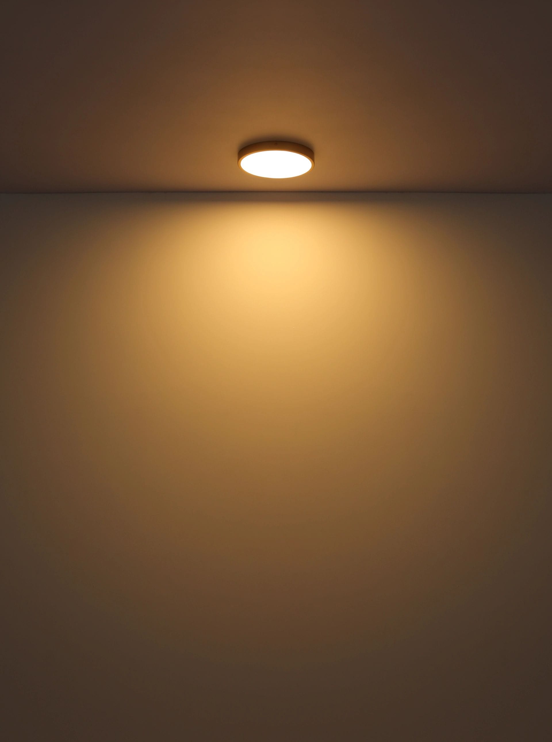 GLOBO LIGHTING LED Deckenleuchte »TIBEY«, Leuchtmittel LED-Modul | LED fest integriert, quadratische Deckenlampe, Wohnzimmer, Flur