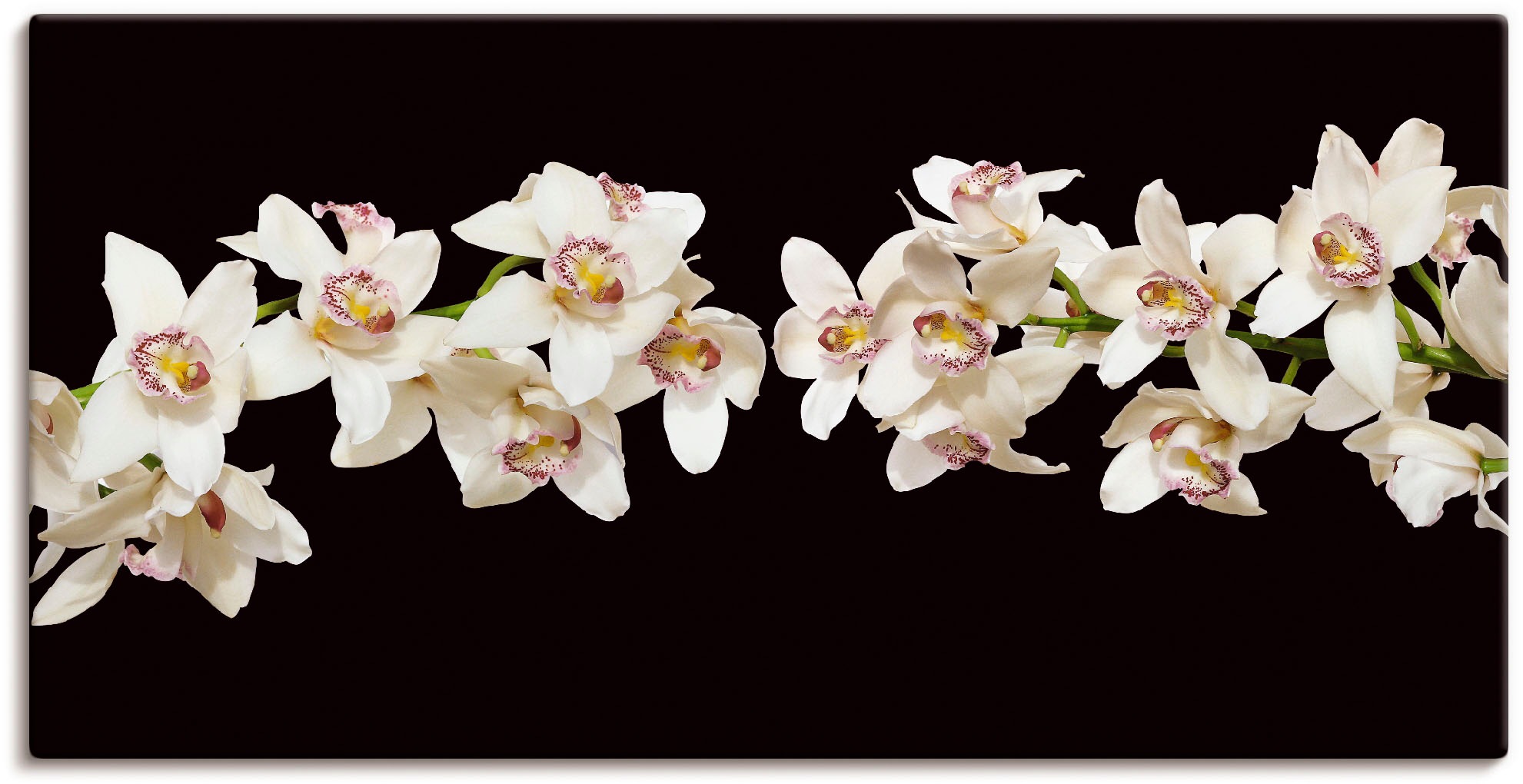 Poster St.), | Artland Blumen, Größen Orchideen«, Leinwandbild, Wandaufkleber »Weiße Wandbild als BAUR oder Alubild, versch. in kaufen (1