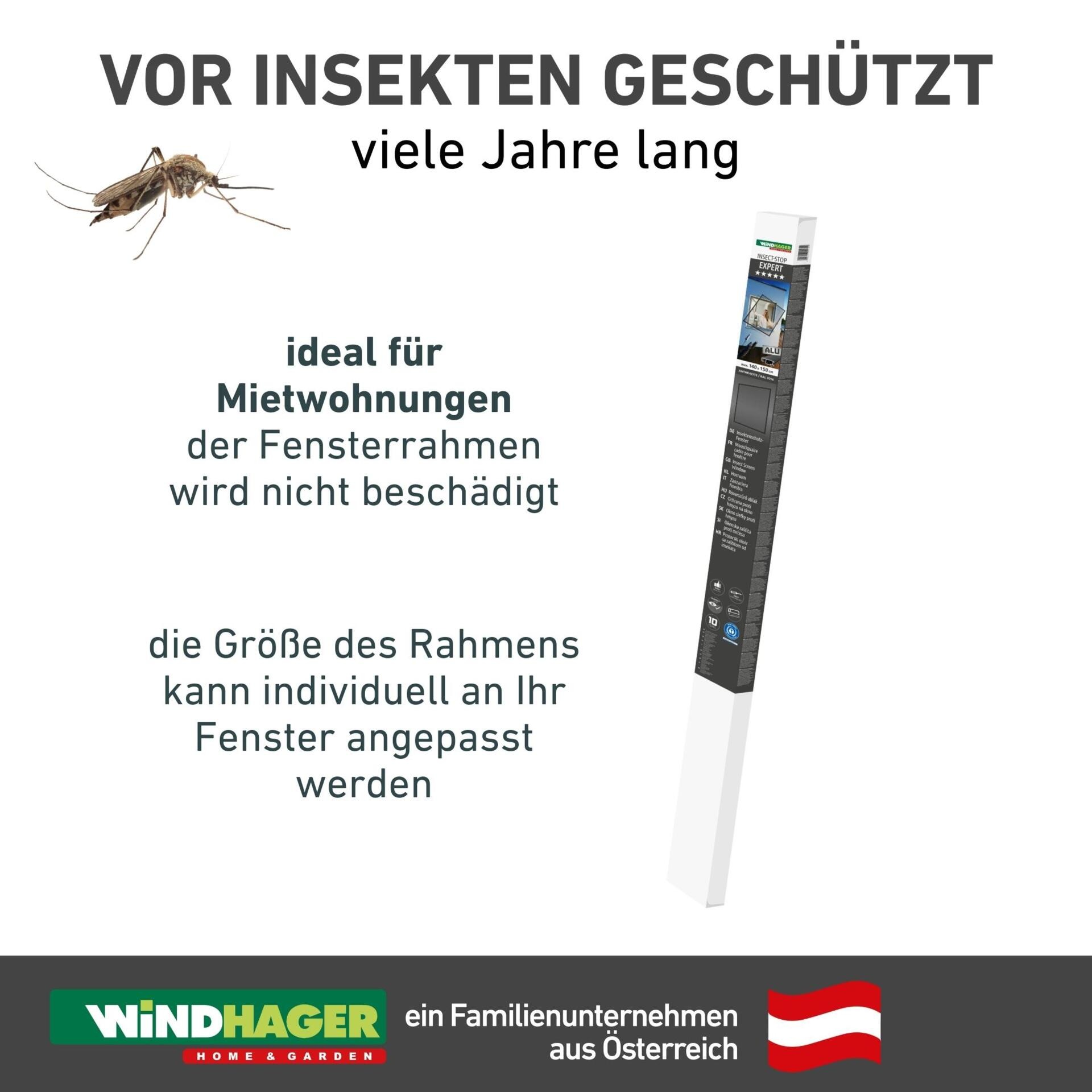 Windhager Insektenschutz-Fensterrahmen »Expert aus starkem Fiberglasgewebe, Insektenschutzgitter für Fenster« Fliegengitter in weiß, anthrazit erhältlich, 100x120cm, ohne bohren