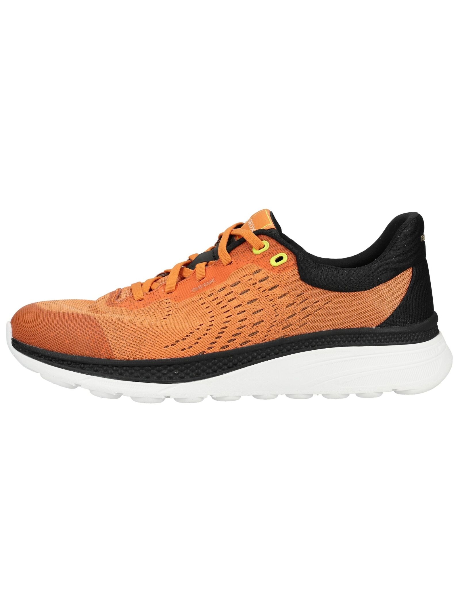 Geox Sneaker »Geox Sneaker Textil«