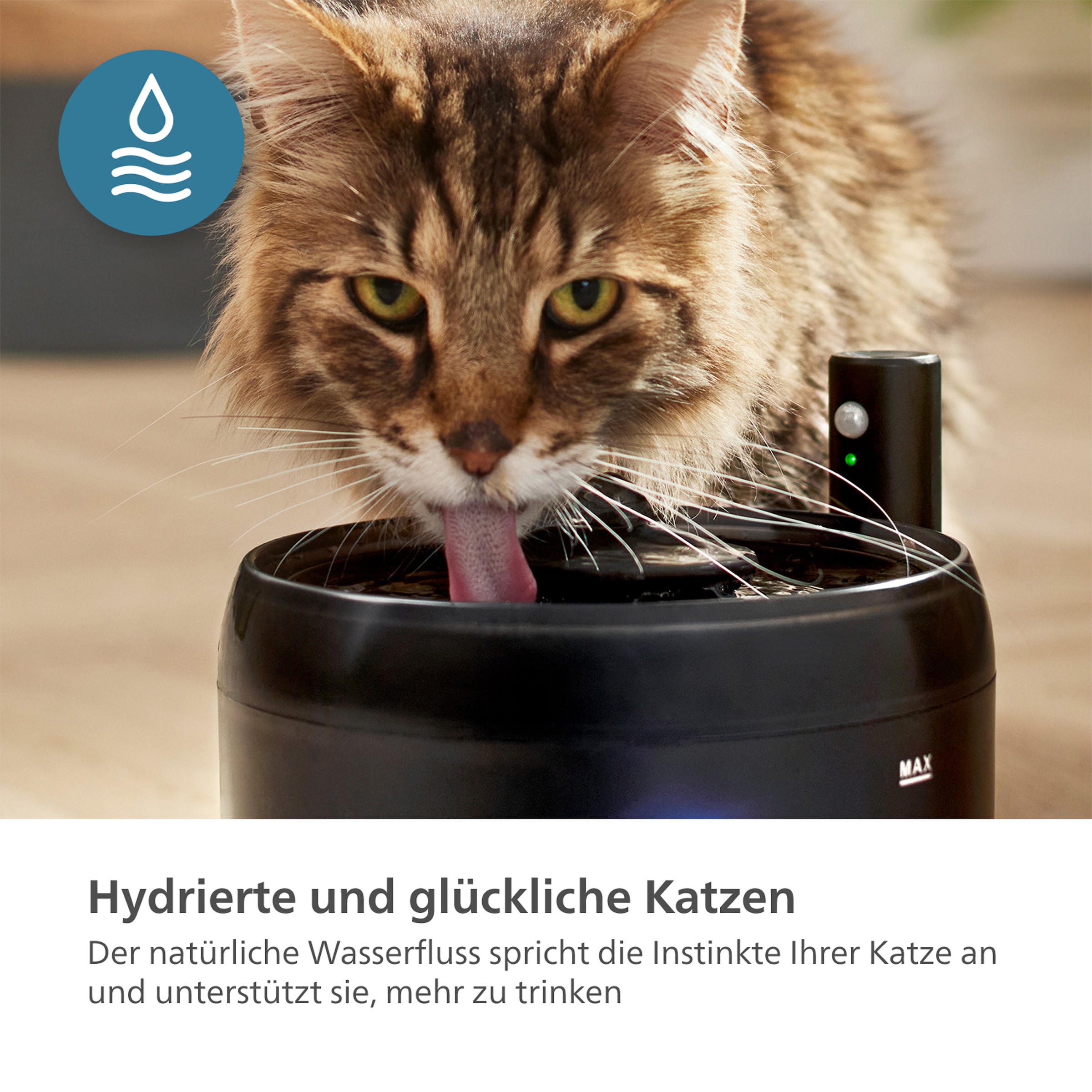 Philips Trinkbrunnen »PAW3210/02 Pet Series, 2,2l, für Katzen und kleine Hunde geeignet«, (1 St.), mit Nachfüllüberwachung, 4-schichtigem Filtersystem, flüsterleise