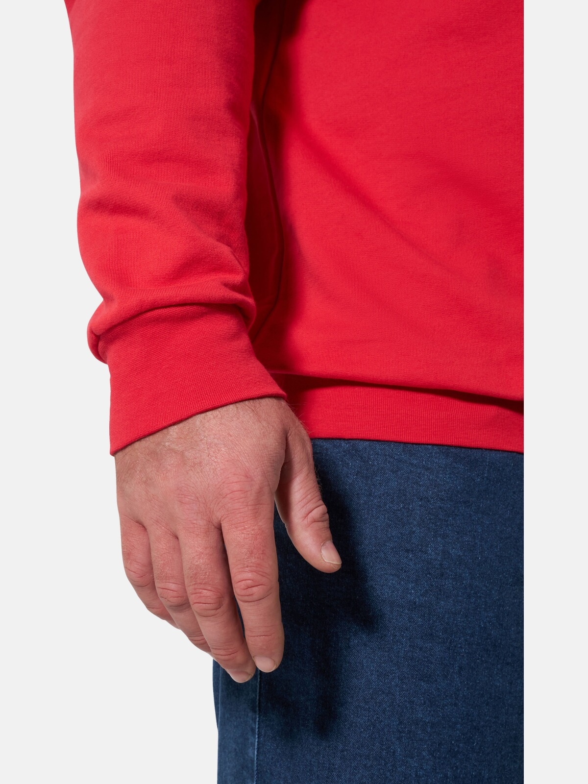 Jan Vanderstorm Kapuzensweatshirt »Sweatshirt WILMER«
