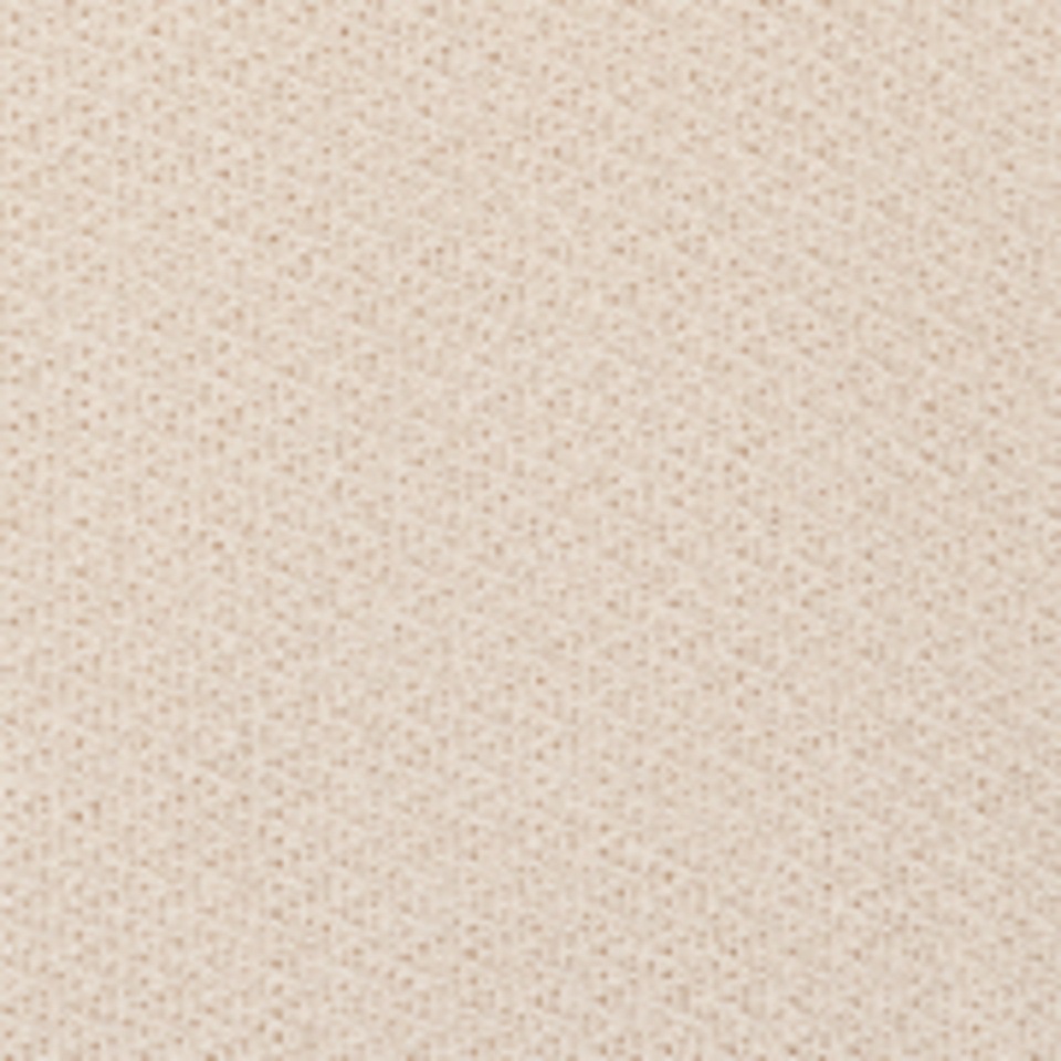 Cecil Kapuzenshirt mit Kapuze mit Tunnelzugband