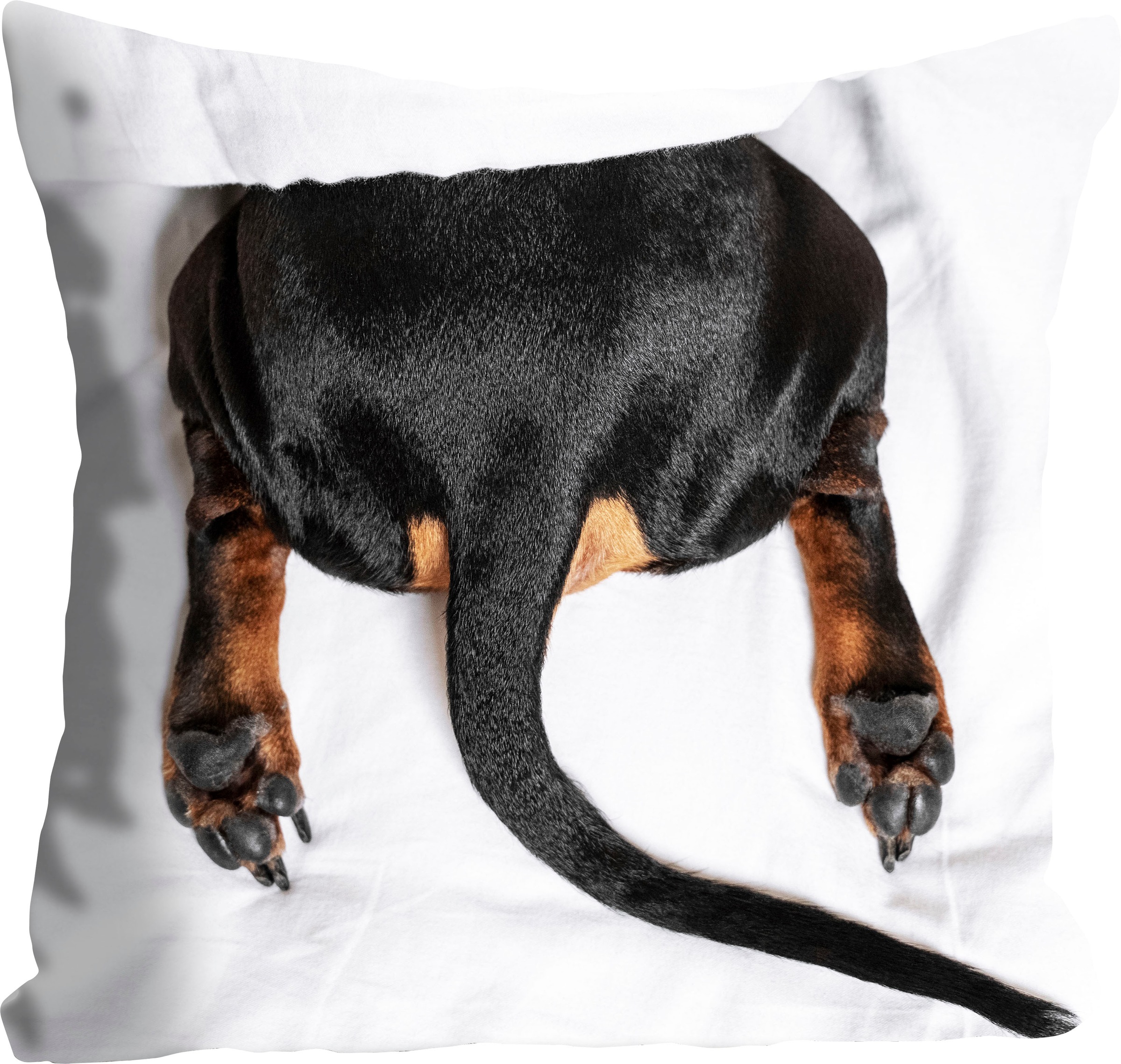 queence Dekokissen "Butt" mit einem Hundehintern günstig online kaufen