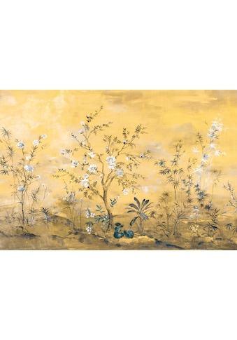 Komar Vliestapete »Mandarin« 368x248 cm (Bre...